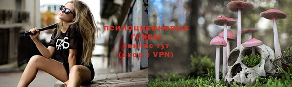 синтетический гашиш Нефтегорск