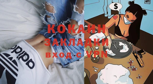 крисы Ветлуга